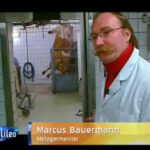 Fernsehsendung "Galileo"